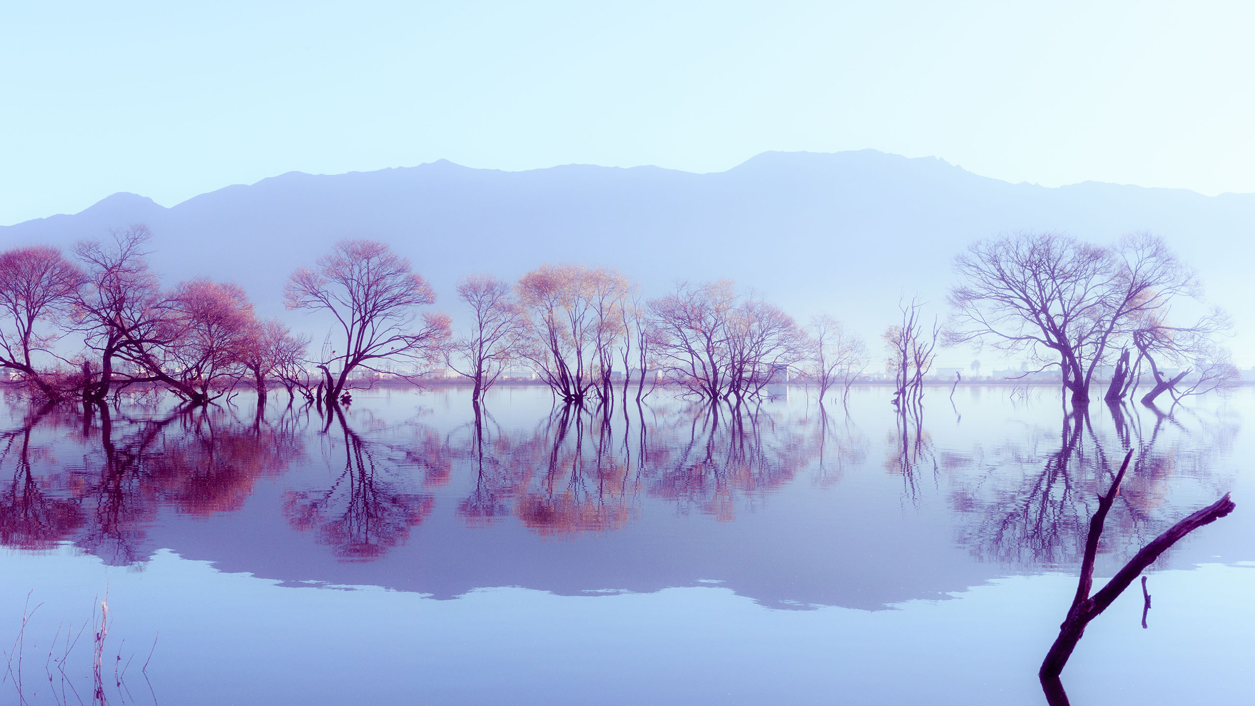 秋雨潤(rùn)澤，一路驚艷 從扎蘭屯到柴河風(fēng)景區(qū)的色彩之旅